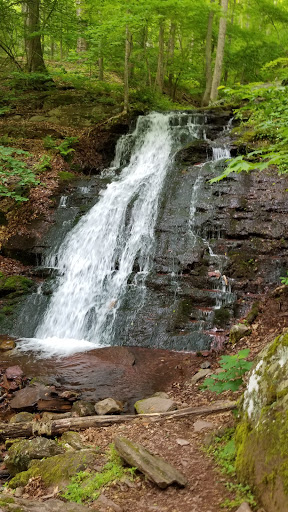 Douglas Trail