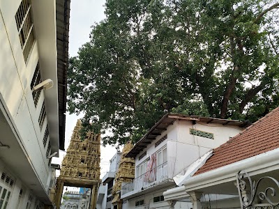 Photos of Sri Siva Subramania Swami Kovil