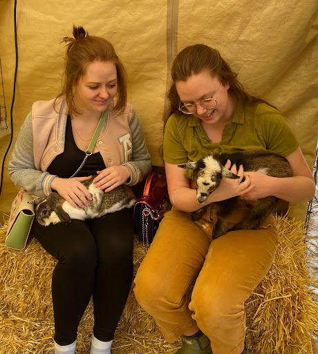 Tulip Festival Petting Farm - Thumbnail