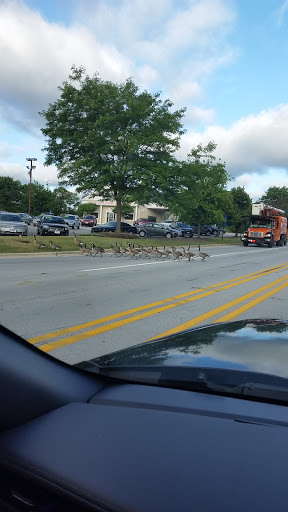 South Suburban Autoplex