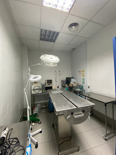 Pets Veterinary Clinic - Thumbnail