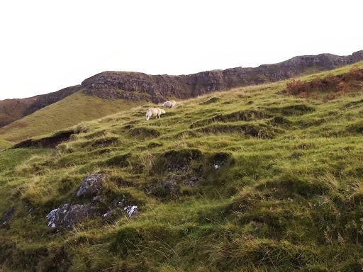 Parking for Mackinnon's Cave
