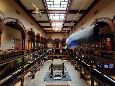 Bishop Museum