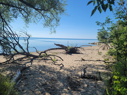 Fischer Creek Conservation Area - Thumbnail