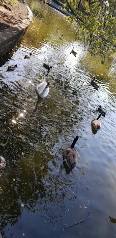 Wibsey Park leeds