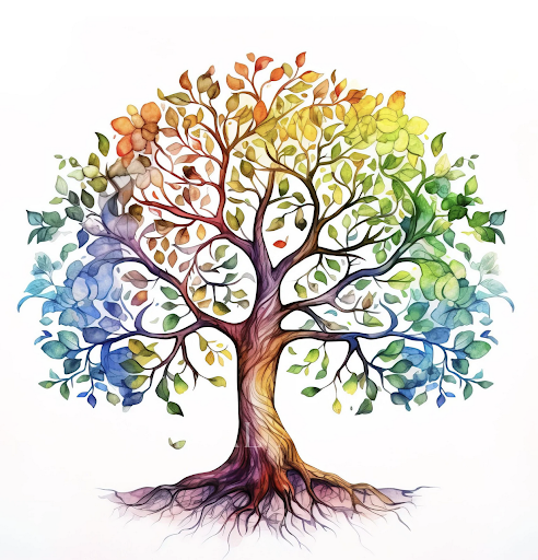 🏛️ Cécile Fauvet Généalogiste Successorale