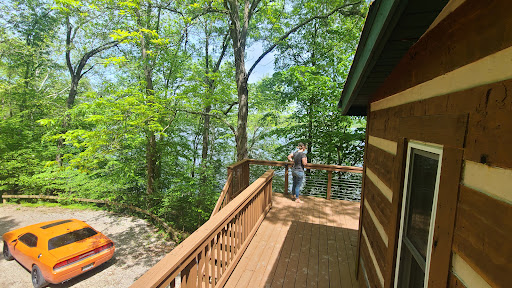 Soaring Eagle Cabin - Visual