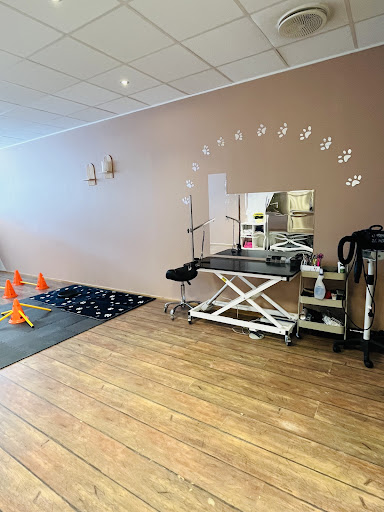 Dyrekiropraktor Jeanette Karlsen