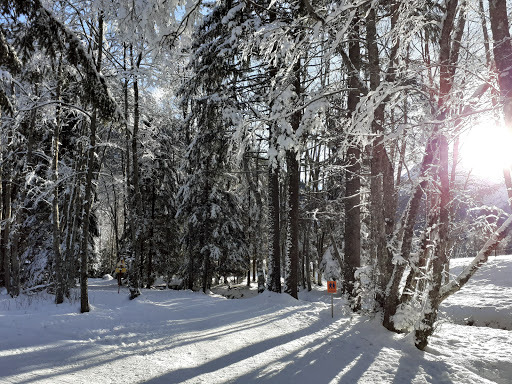 Aux Contamines