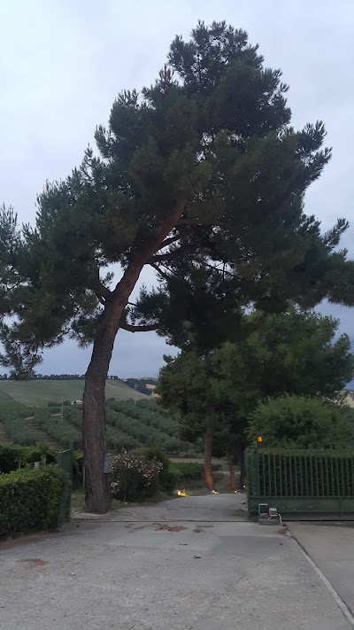 Photos of Masseria Ciavolich