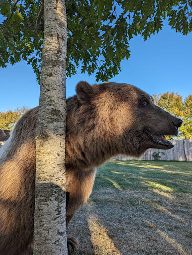 Photo de Parc animalier et parc d'attractions, Le Jardin des Bêtes à Gages-Montrozier (12630)