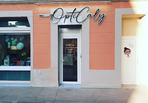 OPT SARL BLEU OPTIQUE MR ROYER PHILIPP