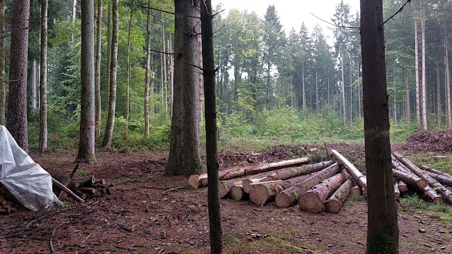 Rezensionen über Helsana Trail Start in Wallisellen - Sportstätte