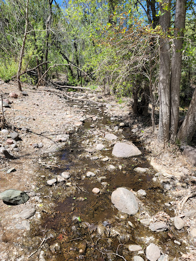 Cave Creek Group Campground Gallery - United States