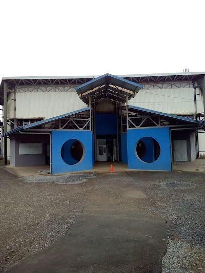 Photos of Iglesia Olivo Verde