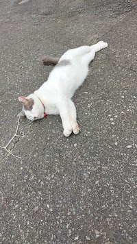 ヘアーサロンダンディ