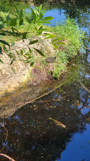 Heatherbrook Park - Visual