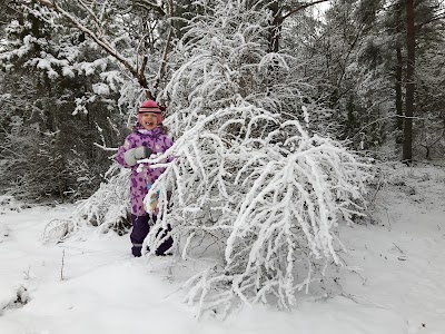 Photos of Keila disc golf course in winter