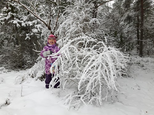 Keila disc golf course in winter