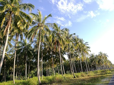Photos of Noofaru Mall