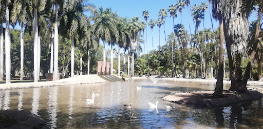 Sinaloa Park - Visual
