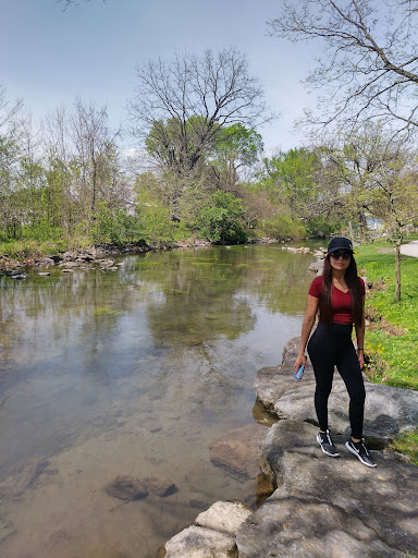 LeTort Spring - Visual