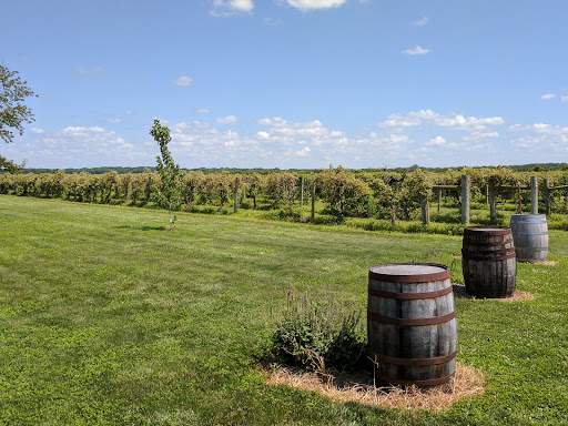 Davenport Orchards & Winery