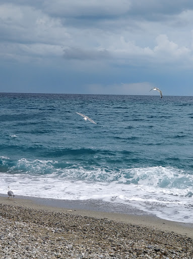 Lido Pierino - Thumbnail