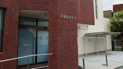 片桐整形外科