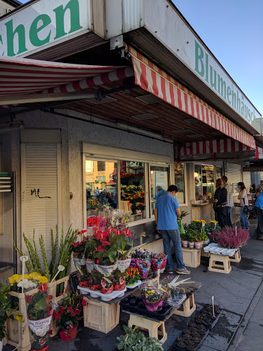 Blumenhäuschen - Visual
