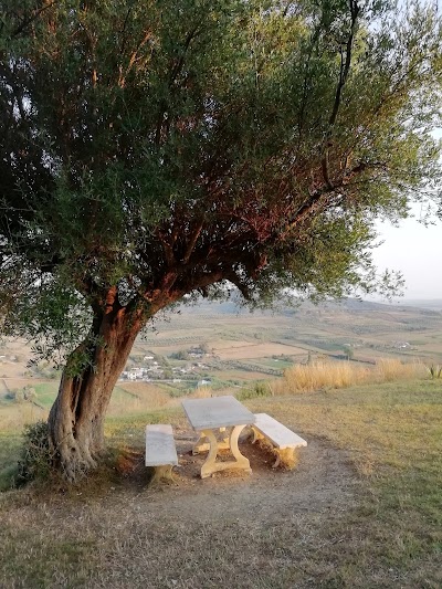 Apollonia - The Theatre