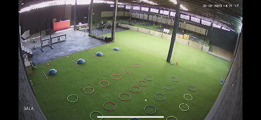 R3 Training PRO - Visual