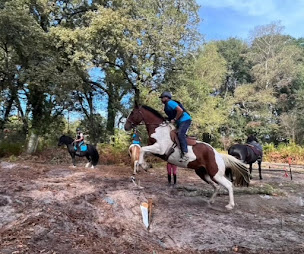 Photo n°3 de L'Equit de Lulu à Sarbazan (Service de tours de poneys)