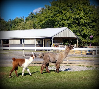 Dakota Ridge Farm