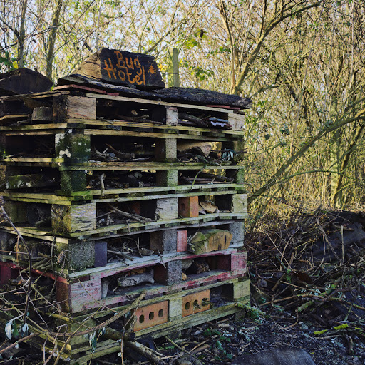 Foundry Wood - Thumbnail