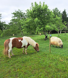 Photo n°24 de Entre Adour et Montagne à Pouillon (Maison d'hôtes)