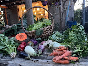 Photo n°2 de AMAP 66 à Elne (Ferme)