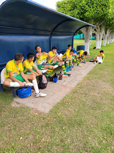 Campos Deportivos Domingo Sabio Gallery - Mexico