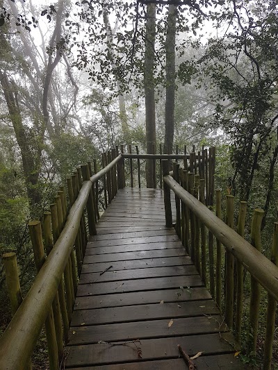Photos of Marutswa Nature Reserve