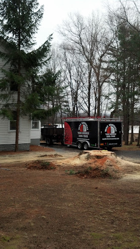 Ward Brothers Tree & Crane Services