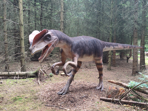 Hoo Zoo and Dinosaur World - Thumbnail