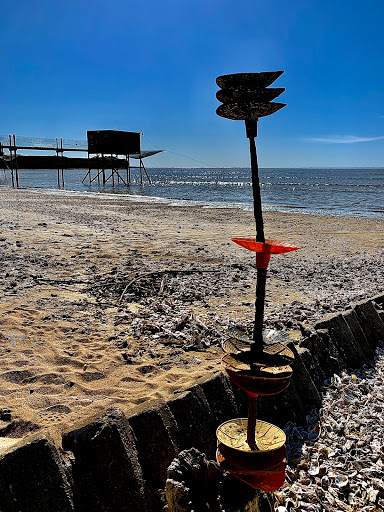 Plage et reserve ornithologique - Thumbnail