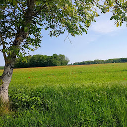 Photo n°4 de Ferme de Villemenard (EARL Lyko Meunier) à Vignoux-sur-Barangeon (Ferme)