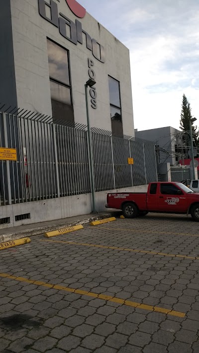 Photos of Daho Pozos