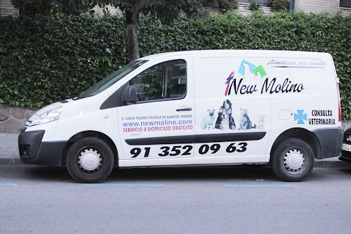 New Molino Gallery - Spain