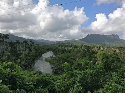 Photos of El Yunque