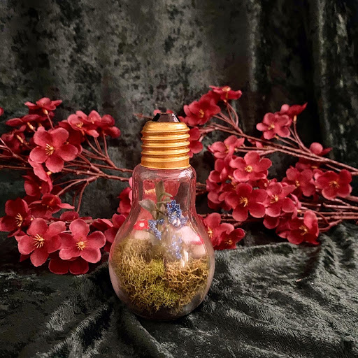 Garden Oddities - Thumbnail