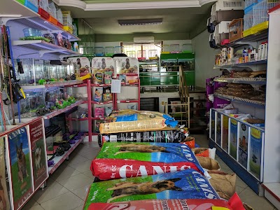 Pet Shop Korça