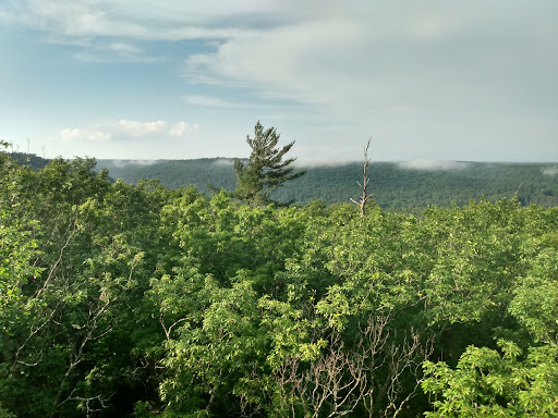 Cook Forest Tower - Thumbnail