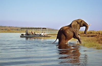 Photos of Adventure Safaris